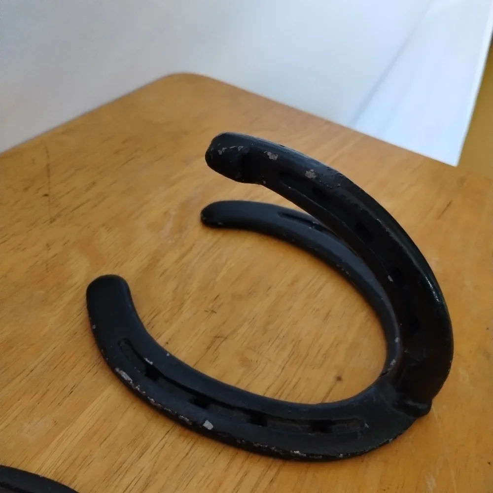 2 Cast iron horseshoe coat hanger home decor